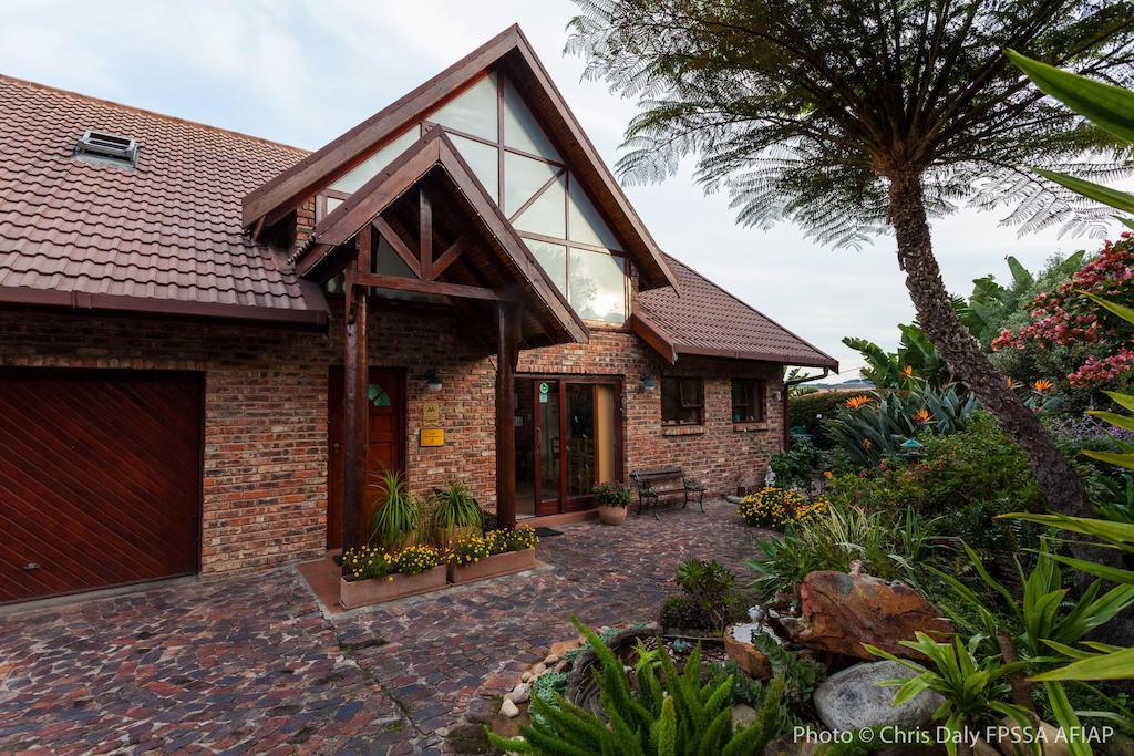 Paradise Found Knysna Buitenkant foto