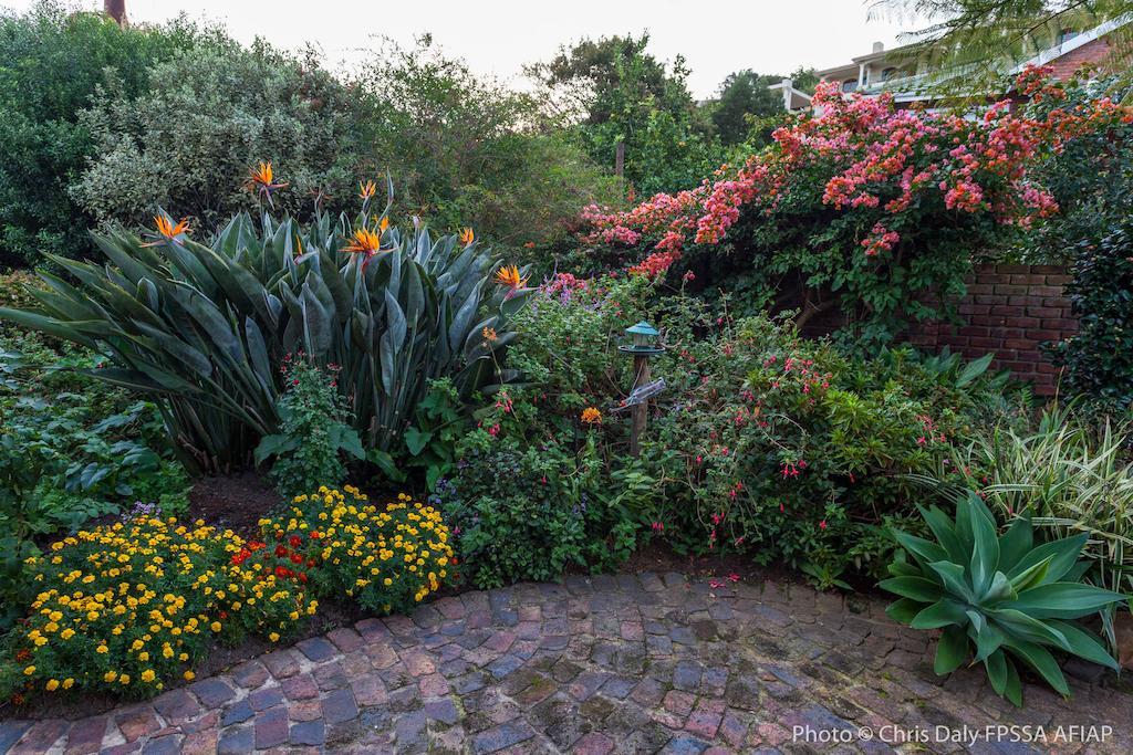 Paradise Found Knysna Buitenkant foto