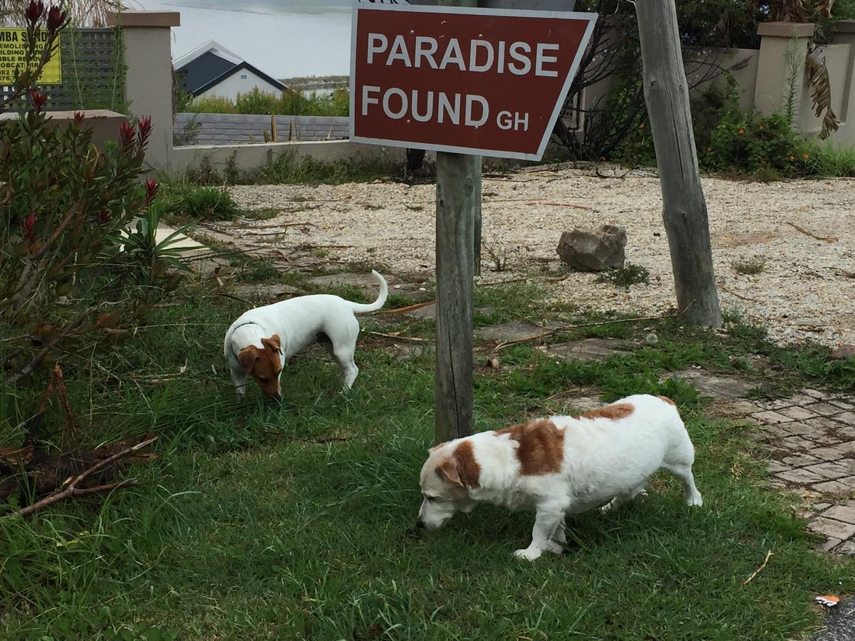 Paradise Found Knysna Buitenkant foto